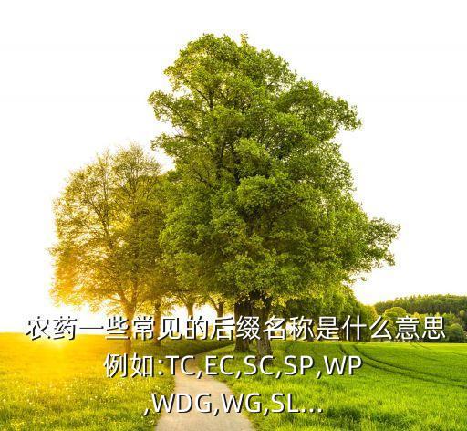 水劑殺蟲農(nóng)藥是什么藥,幾丁聚糖水劑是什么農(nóng)藥