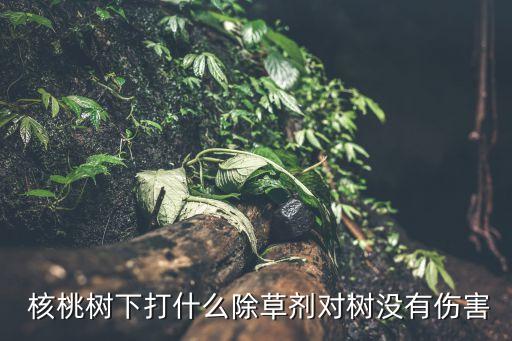 核桃地春季用什么農藥,春季山楂樹打什么農藥