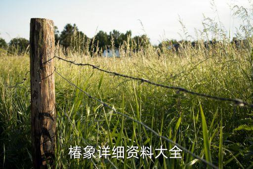 綠盲椿象用什么農藥,治盲椿象的農藥有哪些