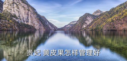黃皮樹什么時候打農藥,黃皮果什么時候噴農藥