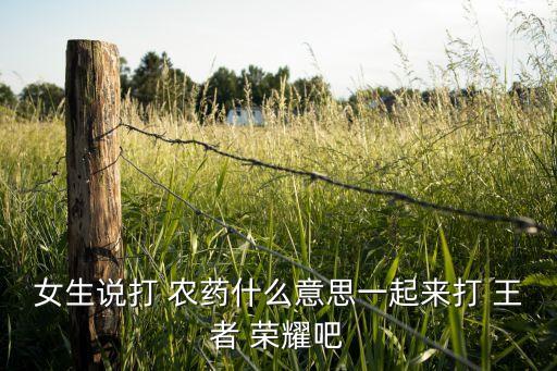 王者榮耀 農藥什么意思,山寨版王者榮耀王者農藥下載