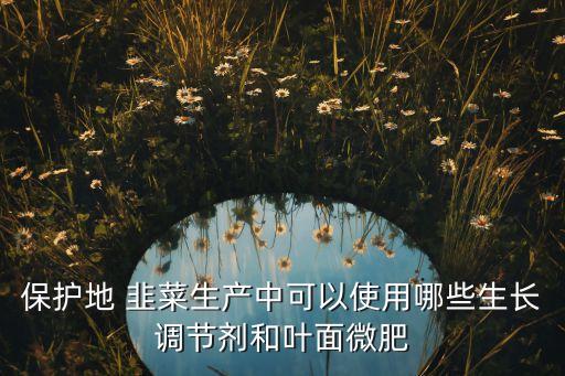 保護(hù)地 韭菜生產(chǎn)中可以使用哪些生長調(diào)節(jié)劑和葉面微肥