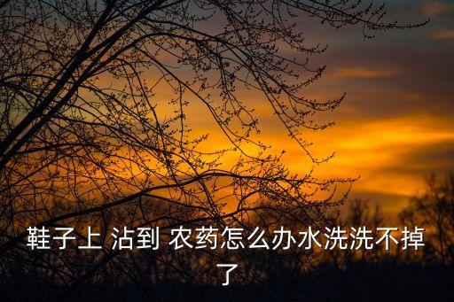鞋子上 沾到 農藥怎么辦水洗洗不掉了