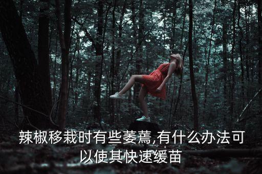  辣椒移栽時有些萎蔫,有什么辦法可以使其快速緩苗