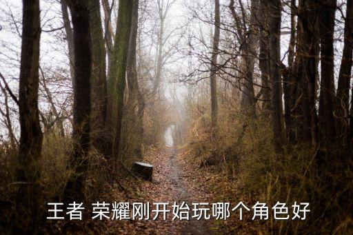 王者榮耀農藥加入什么英雄
