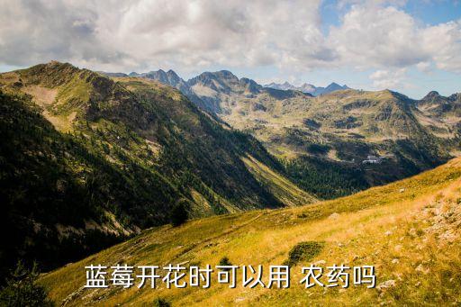 什么農(nóng)藥適合盆栽花盆,盆栽牡丹用什么花盆好