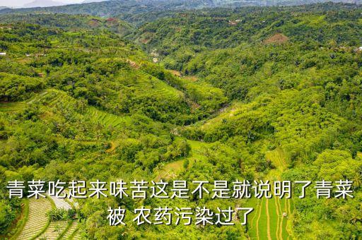 蔬菜為什么有農藥味,蔬菜農藥味很大
