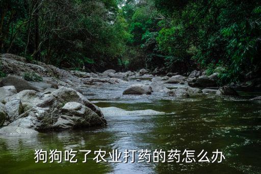 狗狗對什么農(nóng)藥過敏,農(nóng)藥過敏什么癥狀怎么治療