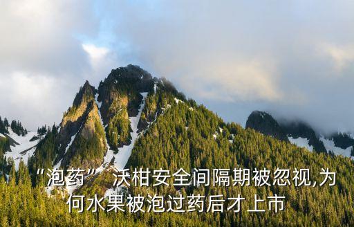 “泡藥” 沃柑安全間隔期被忽視,為何水果被泡過藥后才上市