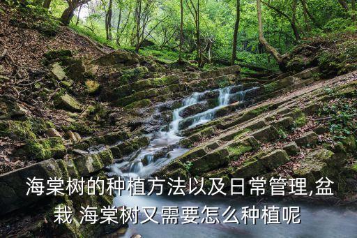 海棠樹打什么農藥