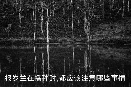 報歲蘭在播種時,都應該注意哪些事情