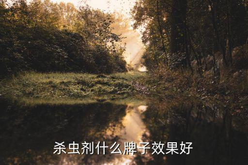 殺蟲劑什么牌子效果好