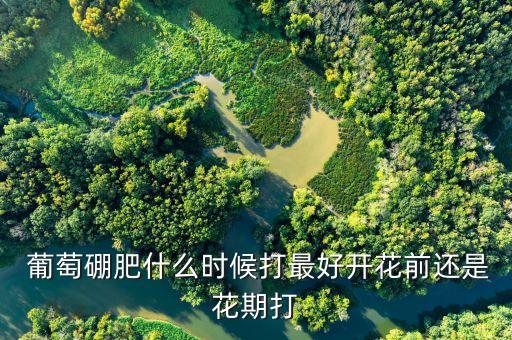 葡萄什么時候噴灑農藥,一天中什么時候噴灑農藥最好