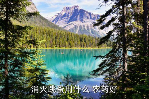 金蜂昆蟲用什么農藥,甲殼蟲昆蟲用什么農藥