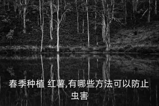 春季種植 紅薯,有哪些方法可以防止蟲害