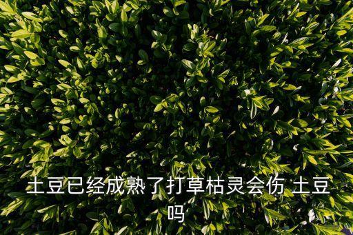 土豆對什么農藥有敏感,土豆用什么農藥可以提高產量