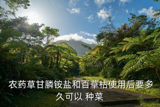 什么時候種菜才能吃啊農藥,春天種菜什么時候可以吃