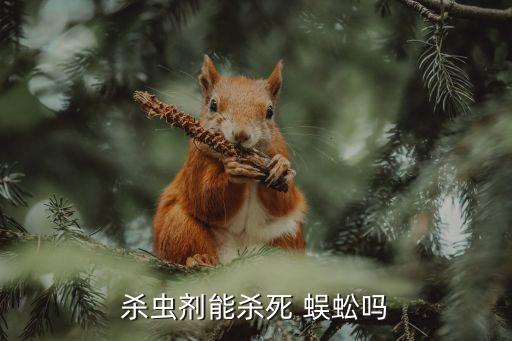 蜈蚣用什么農(nóng)藥最好,蜈蚣和什么泡酒最好