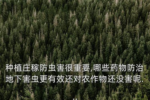 農(nóng)藥噻蟲嗪有什么功效