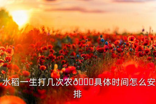 水稻什么季節噴灑農藥,無人機水稻噴灑農藥