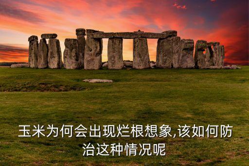 玉米莖腐用什么農(nóng)藥治,什么農(nóng)藥能讓玉米不結(jié)棒