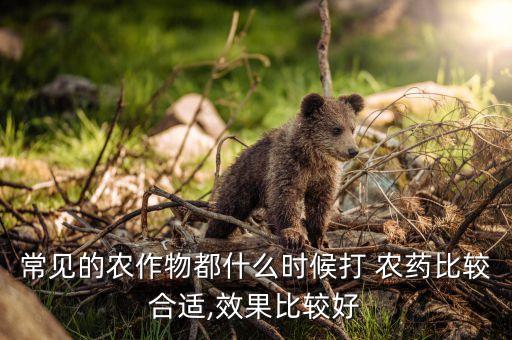 常見的農(nóng)作物都什么時(shí)候打 農(nóng)藥比較合適,效果比較好