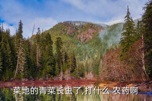 菜地的青菜長(zhǎng)蟲(chóng)了,打什么 農(nóng)藥啊