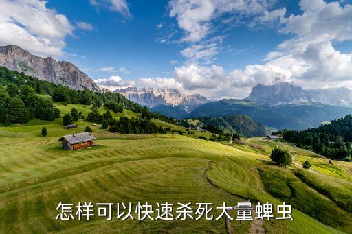 怎樣可以快速殺死大量蜱蟲