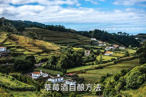 什么酒沒有農藥殘留,用什么方法去除農藥殘留