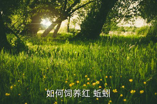 紅蚯蚓最怕什么農(nóng)藥,地下蚯蚓最怕什么農(nóng)藥