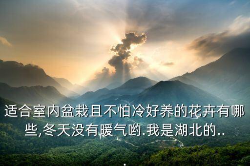 適合室內盆栽且不怕冷好養的花卉有哪些,冬天沒有暖氣喲.我是湖北的...
