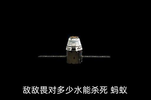 打螞蟻什么農藥最佳,螞蟻用什么農藥可以除掉它