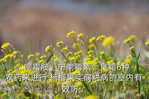 楊梅專用農藥是什么藥,楊梅素是什么藥