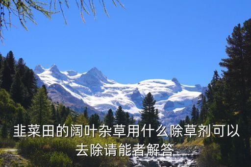 新韭菜上用什么農藥,韭菜一般打什么農藥