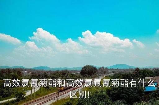 功夫農(nóng)藥是什么型的,功夫紅茶是什么型
