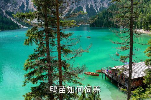 鴨子什么時(shí)候打農(nóng)藥,什么時(shí)候打農(nóng)藥效果最好