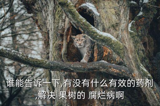 誰能告訴一下,有沒有什么有效的藥劑,解決 果樹的 腐爛病啊