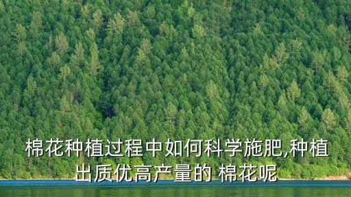  棉花種植過程中如何科學施肥,種植出質優高產量的 棉花呢