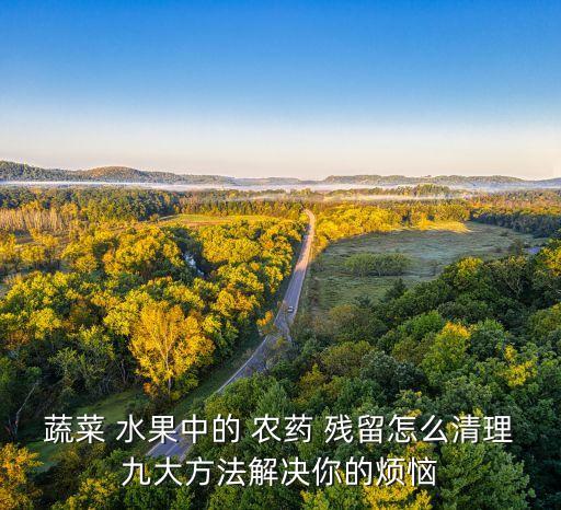蔬菜 水果中的 農藥 殘留怎么清理九大方法解決你的煩惱