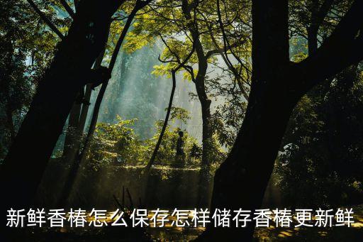新鮮香椿怎么保存怎樣儲存香椿更新鮮