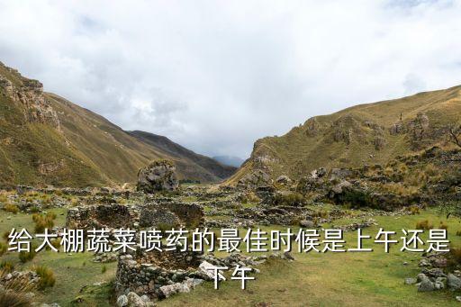 給青菜什么時(shí)候噴農(nóng)藥,青菜噴過殺蟲劑什么時(shí)候可以吃