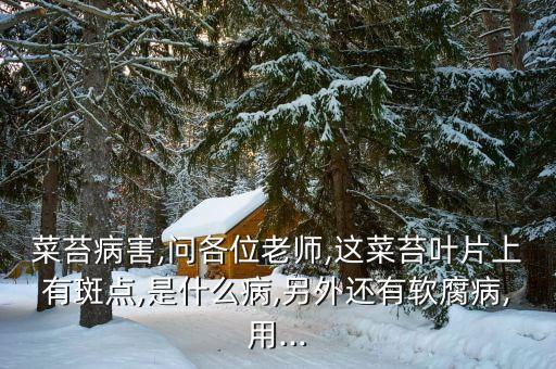 菜苔打什么農藥,菜蟲用什么農藥殺比較好?
