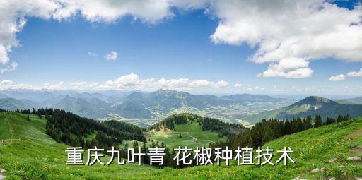 重慶九葉青 花椒種植技術