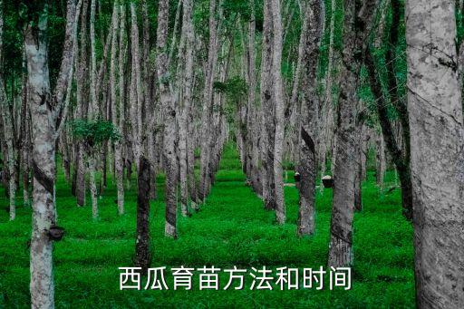  西瓜育苗方法和時間