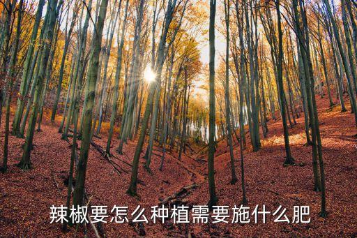 辣椒打什么農(nóng)藥生根,哪些農(nóng)藥可以促進(jìn)辣椒生根