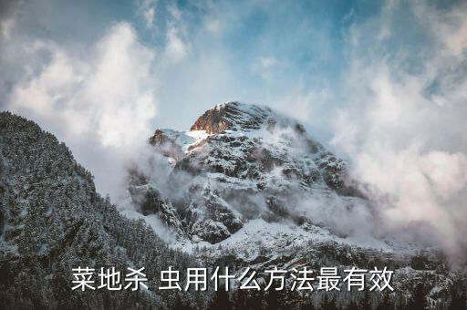 菜地殺 蟲(chóng)用什么方法最有效