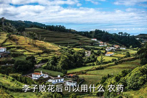 有什么農(nóng)藥把花打掉,什么農(nóng)藥能使花不開不結(jié)果