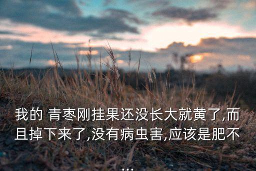 青棗打什么農(nóng)藥開花早,大青棗開花時可以噴殺蟲農(nóng)藥