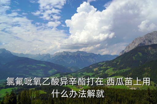 西瓜剛幼苗噴什么農藥,西瓜幼苗用什么肥料