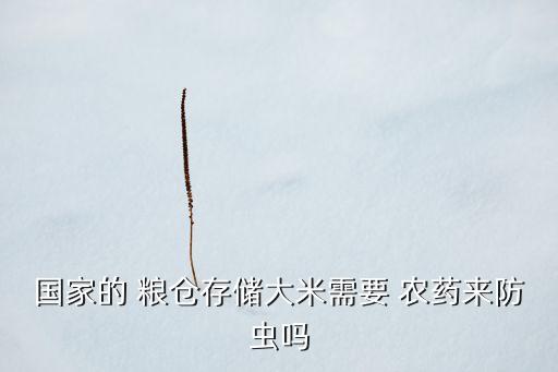 國家的 糧倉存儲大米需要 農藥來防蟲嗎